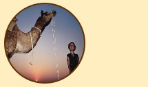 Camel Safari Tours