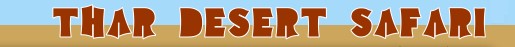 Thar Desert and Camel Safari