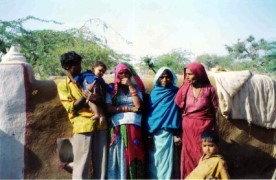 Thar Camel Safari
