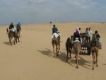 desert safari