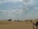 desert safari
