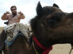 camel safari