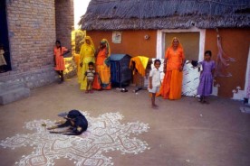 Village Life in Thar Desert, Bikaner