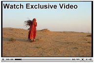Thar Desert and Camel Safari Video